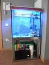 [TodoMarino.com] primer proyecto acuario marino Francesco 67x57x65