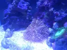 [TodoMarino.com] eheim 35L