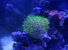 [TodoMarino.com] eheim 35L