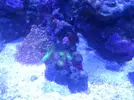 [TodoMarino.com] eheim 35L