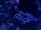 [TodoMarino.com] eheim 35L