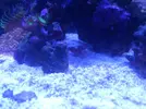 [TodoMarino.com] eheim 35L
