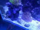 [TodoMarino.com] eheim 35L