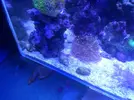 [TodoMarino.com] eheim 35L