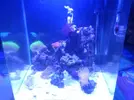 [TodoMarino.com] eheim 35L