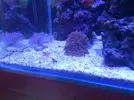 [TodoMarino.com] eheim 35L
