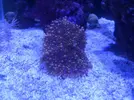 [TodoMarino.com] eheim 35L