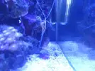 [TodoMarino.com] eheim 35L