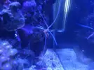 [TodoMarino.com] eheim 35L