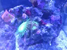 [TodoMarino.com] eheim 35L
