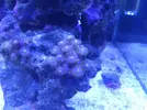 [TodoMarino.com] eheim 35L