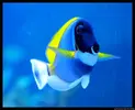 [TodoMarino.com] Acuario TodoMarino del 2º Trimestre de 2012