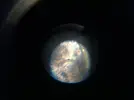 [TodoMarino.com] Algas!!!!!!