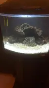 [TodoMarino.com] Primeros pasos con mi acuario