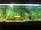 [TodoMarino.com] Decoracion