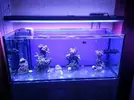 [TodoMarino.com] Reef Island 480L