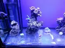 [TodoMarino.com] Reef Island 480L