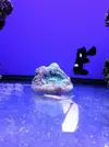 [TodoMarino.com] Reef Island 480L