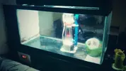 [TodoMarino.com] Urna de 120x40x50 con sump integrado en la urna (Granada)