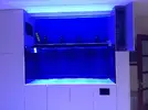 [TodoMarino.com] Devil's Reef, - The Final Project