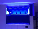 [TodoMarino.com] Devil's Reef, - The Final Project