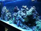 [TodoMarino.com] ampliando de 250l a 450l