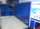 [TodoMarino.com] ampliando de 250l a 450l