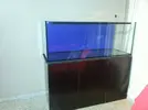 [TodoMarino.com] Nuevo Proyecto Amedias Reef