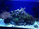 [TodoMarino.com] Os presento a Titor´s reef