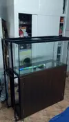 [TodoMarino.com] Mi charco salado