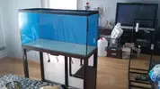 [TodoMarino.com] Mi charco salado