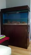 [TodoMarino.com] Mi charco salado