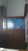 [TodoMarino.com] Mi charco salado
