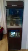 [TodoMarino.com] Mi charco salado