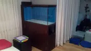 [TodoMarino.com] Mi charco salado