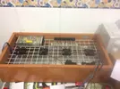 [TodoMarino.com] Proyecto en marcha de 200 L + sump 80 L