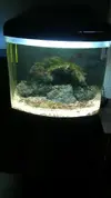 [TodoMarino.com] Primeros pasos con mi acuario