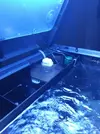 [TodoMarino.com] Acuario de Stromdc, otro más con el sera marin 130