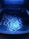 [TodoMarino.com] Acuario de Stromdc, otro más con el sera marin 130