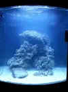 [TodoMarino.com] Acuario de Stromdc, otro más con el sera marin 130
