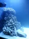 [TodoMarino.com] Acuario de Stromdc, otro más con el sera marin 130