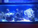 [TodoMarino.com] eheim 35L