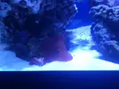 [TodoMarino.com] eheim 35L