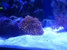[TodoMarino.com] eheim 35L