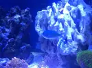 [TodoMarino.com] eheim 35L