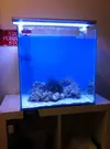 [TodoMarino.com] Primer Proyecto 50x39x50 (Pantalla, controlador de ventiladores casero) Ayuda plz - S
