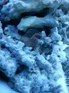 [TodoMarino.com] Acuario de Stromdc, otro más con el sera marin 130