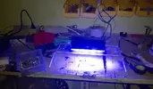 [TodoMarino.com] Mi nuevo picoreef