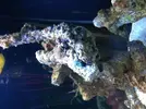 [TodoMarino.com] Soy nuevo en el mundo marino !!!