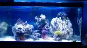 [TodoMarino.com] presento mis 60 litros